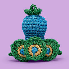 Reginald the Peacock Crochet Kit