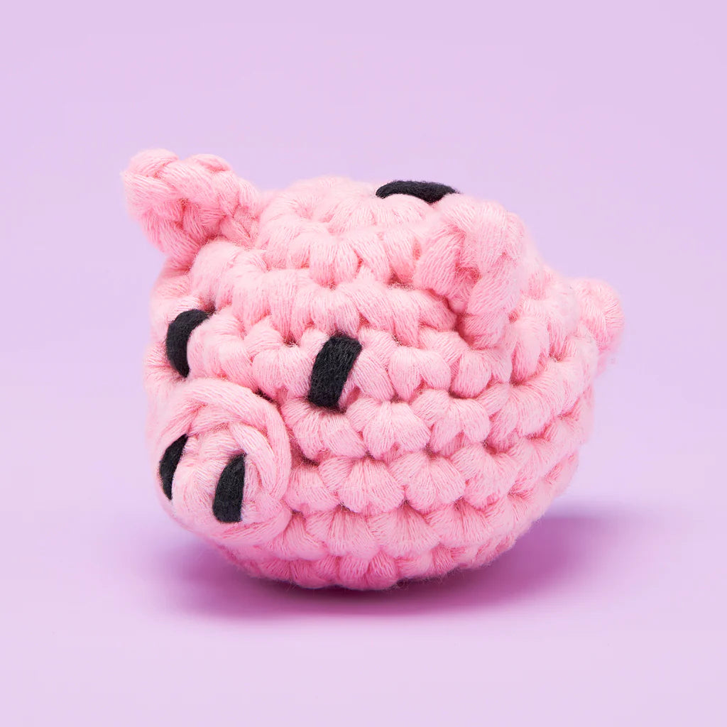 Tiny Piggy Bank Accessory Kit