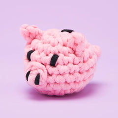 Tiny Piggy Bank Accessory Kit